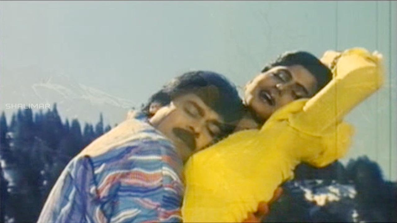 Khaidi No 786 Movie || Chali Gaali Kottindhammo Video Song || Chiranjeevi, Bhanupriya