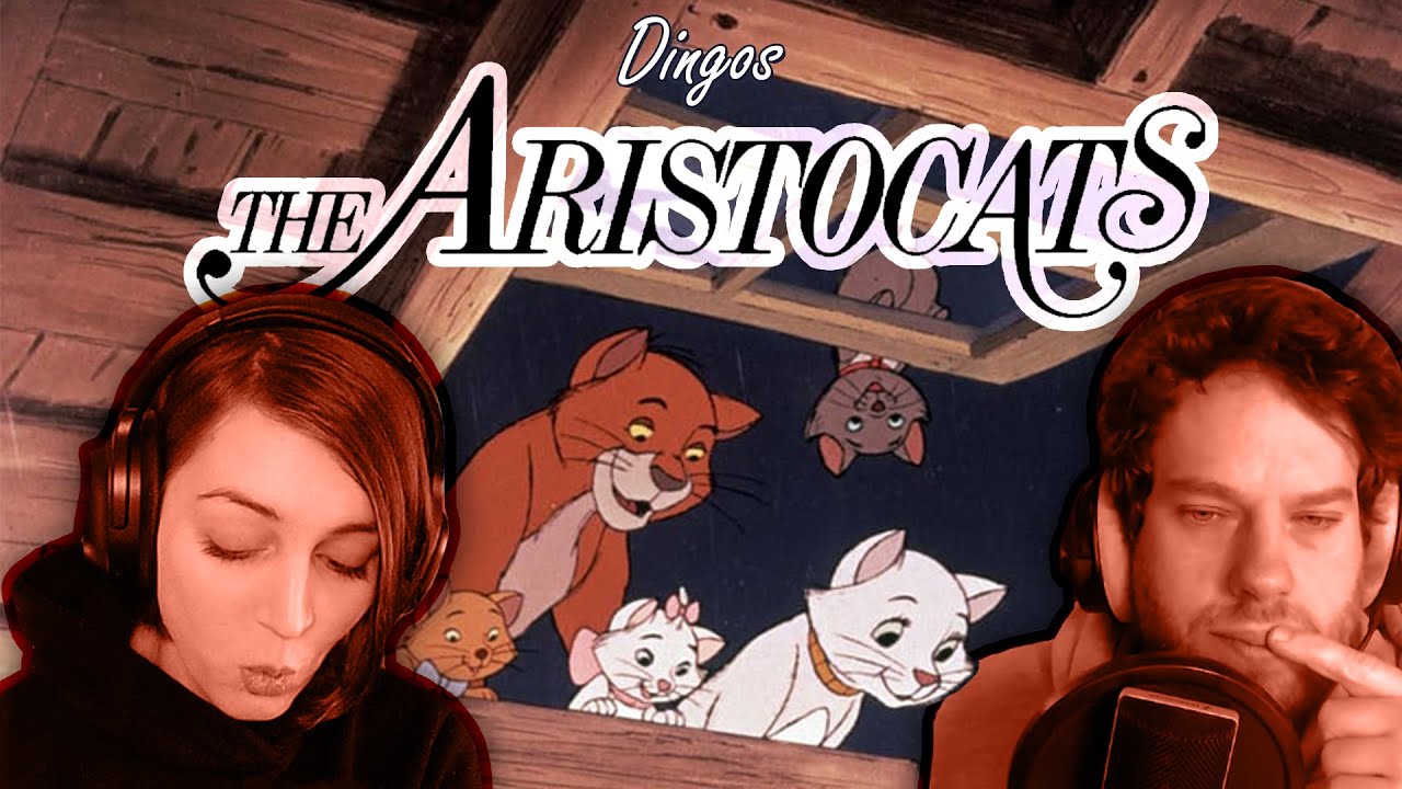 Aristocats Trash mit Florentin & Marah | Artige Katzen von Dingo Pictures | Reaction