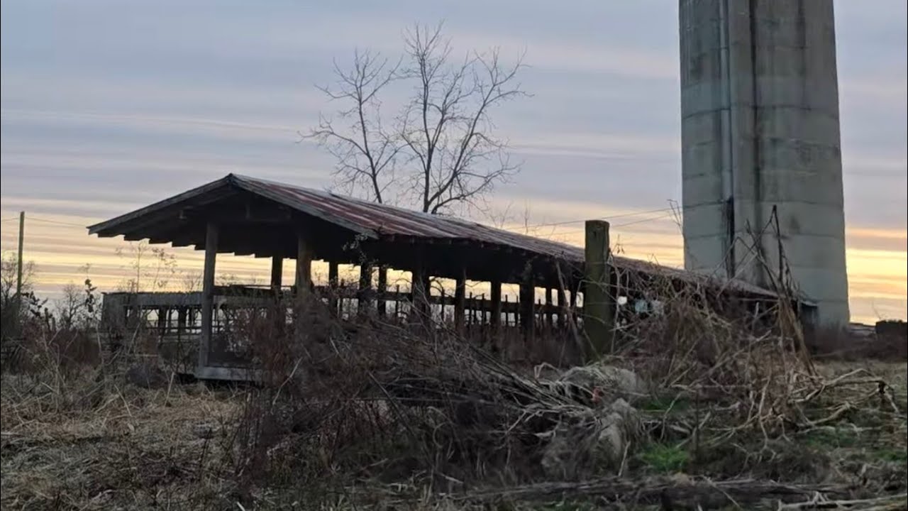 A Day in the Life of a Small Hobby Farmer