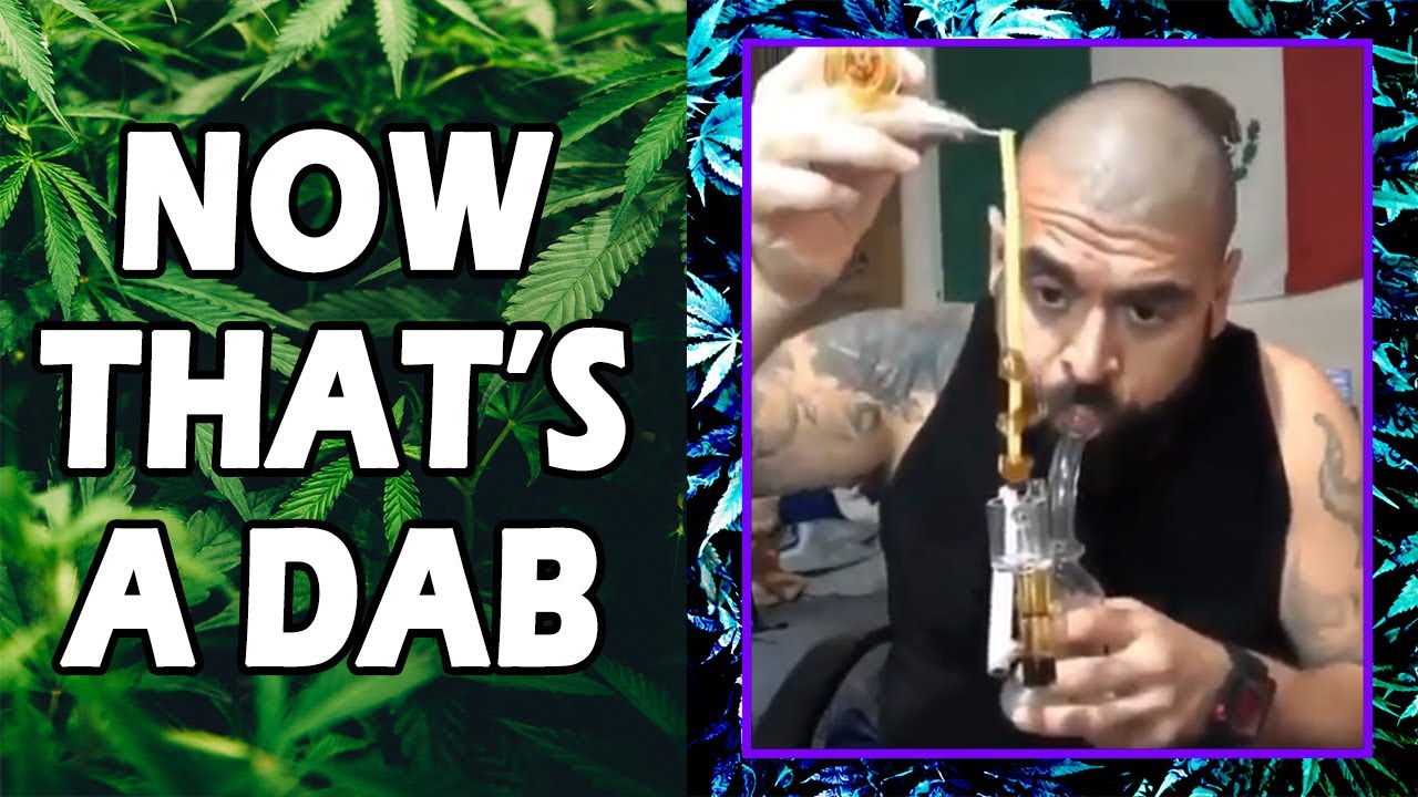 WEED MEMES & Fail Compilation [#139] - Fatally Stoned