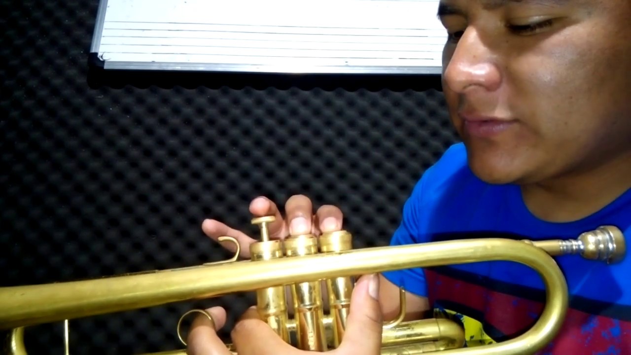 Como tocar las mañanitas en la trompeta (mariachi nuevo tecalitlan)