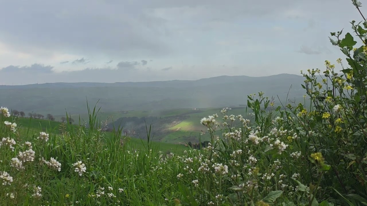 Il suono della valle con l'arcobaleno #asmr #nature #relax #no #IA 