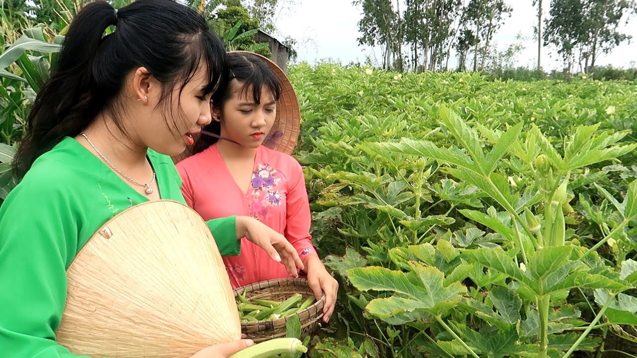 Đi xin đậu bắp, hành lá, cá bống về làm buổi ăn trưa | Thôn Nữ Miền Tây