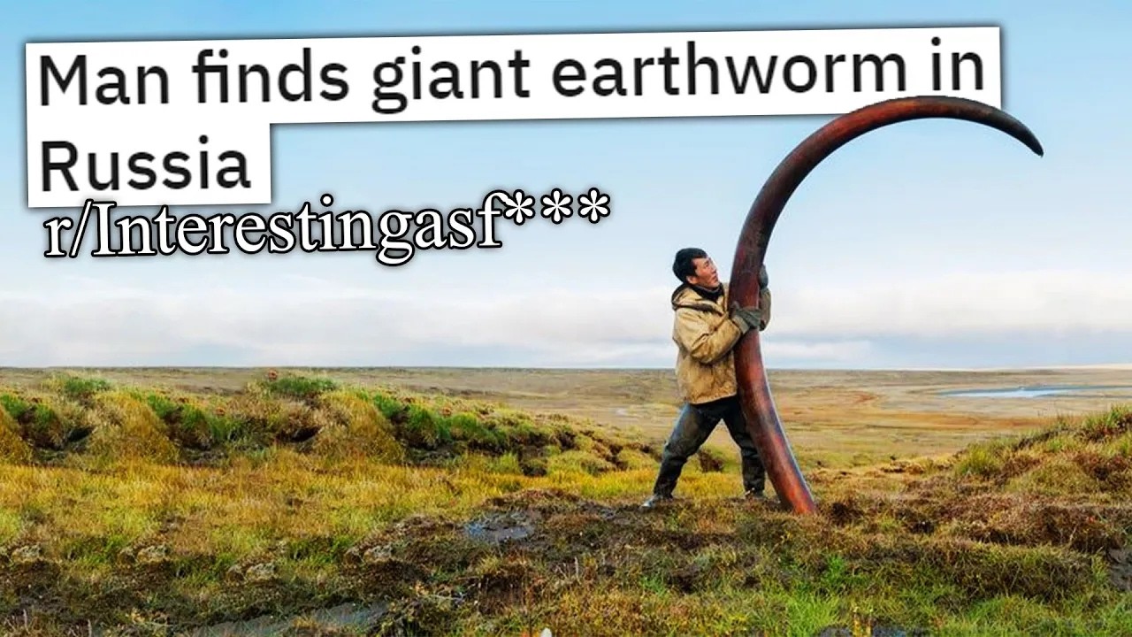 ALL OF R/INTERESTINGASF**K