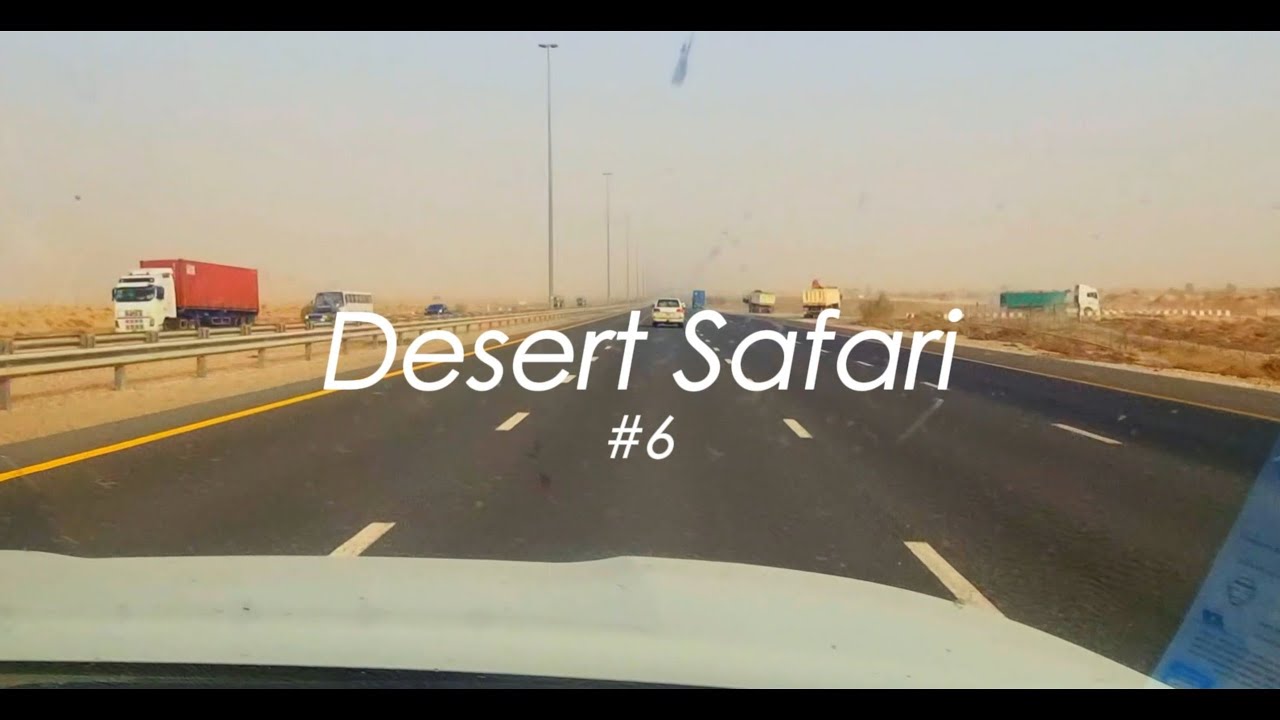 Desert Safari. Dubai #6