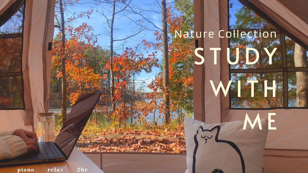 2-HOUR STUDY WITH ME / 🍂 Beautiful Autumn Never Forgot 🌅 / Calm Piano & Bonfire ⛺ / Pomodoro 30-5