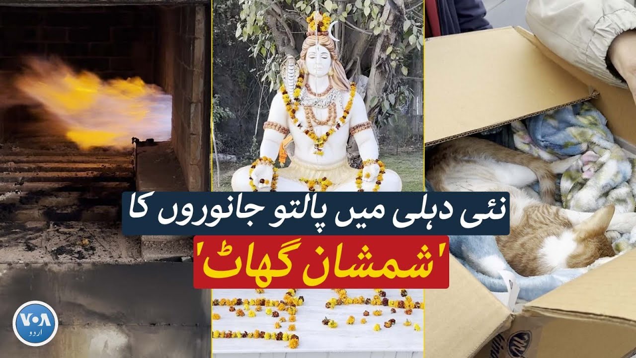 Pet Cremation Services in Delhi