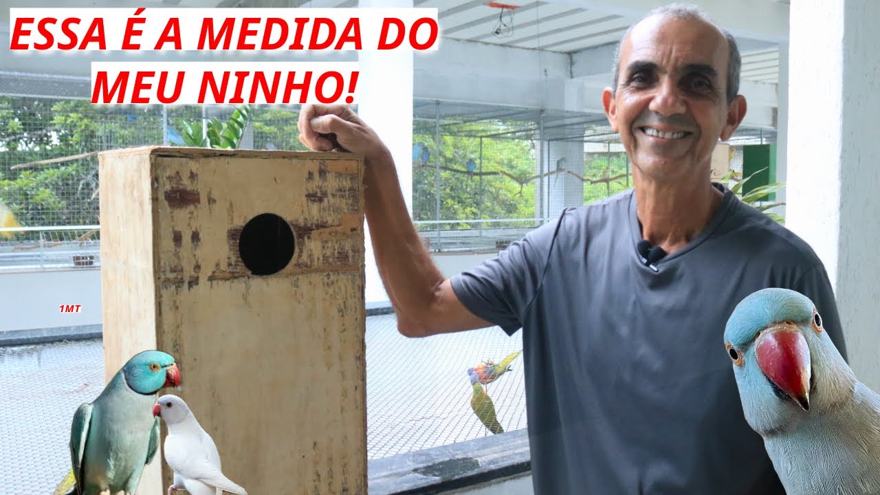 MEDIDA IDEAL PARA NINHO DE RING NECK