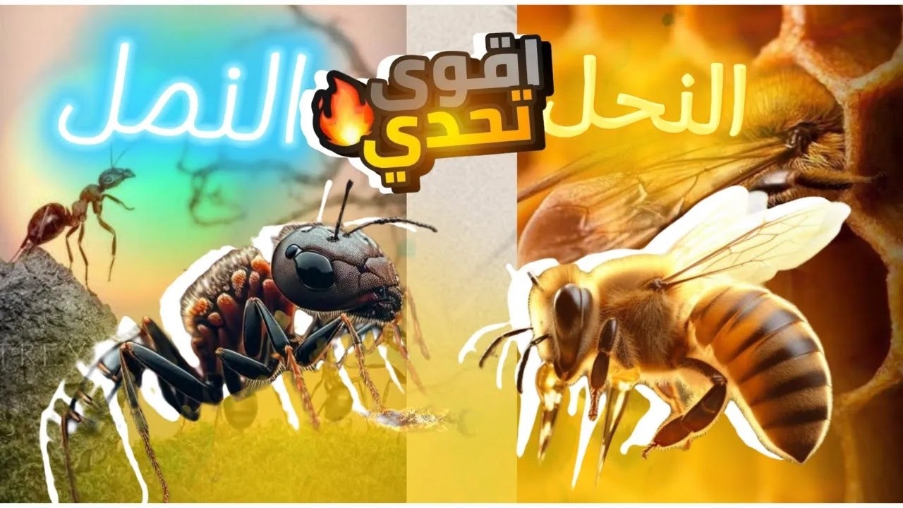 Существа, которых мы видим каждый день, но о которых мало что знаем: муравьи и пчелы.