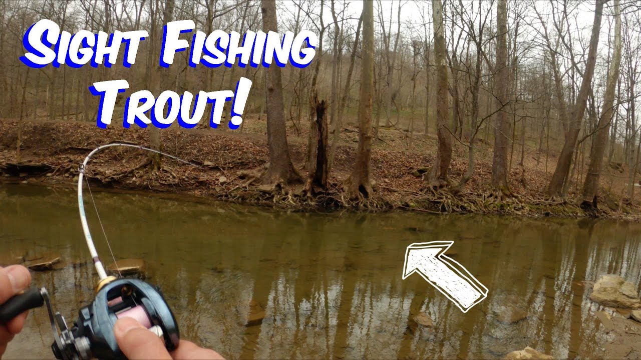 Bait Finesse TROUT Fishing с Shimano Aldebaran BFS 2022 года