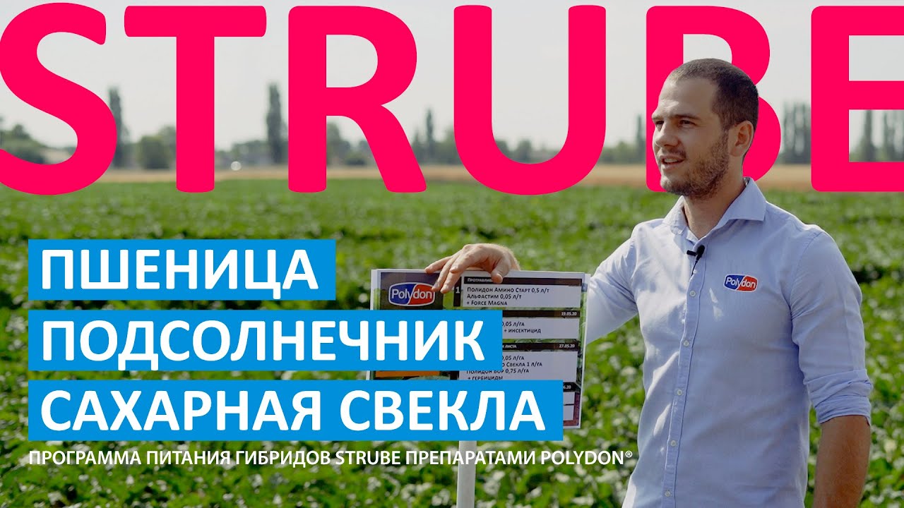 Гибриды STRUBE | программа питания препаратами POLYDON