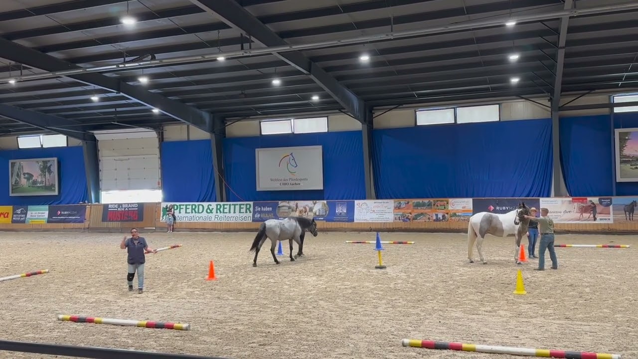 Horse Speak® at the Mustang Makeover Germany 2024 - Meeting Two Horses for the First Time