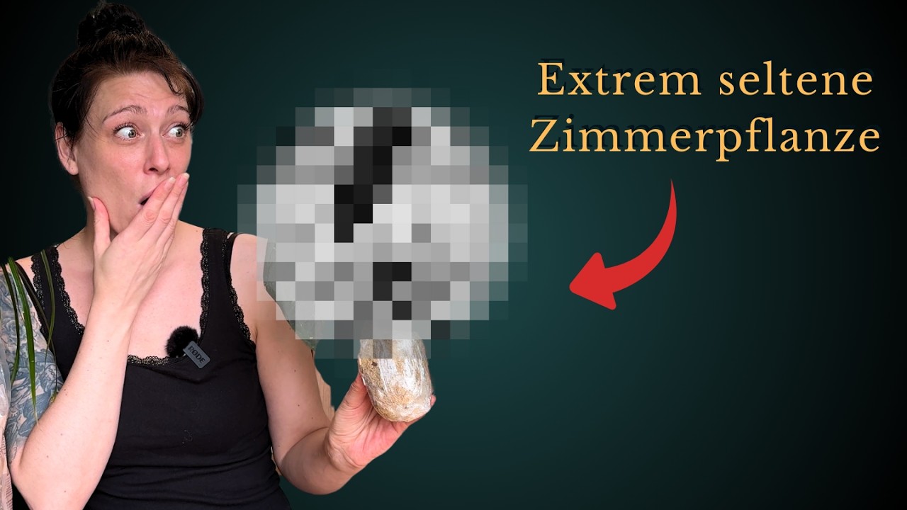 Unboxing seltene Wunschpflanze  + So rette ich ihre Wurzeln und gieße sie richtig nach dem Versand