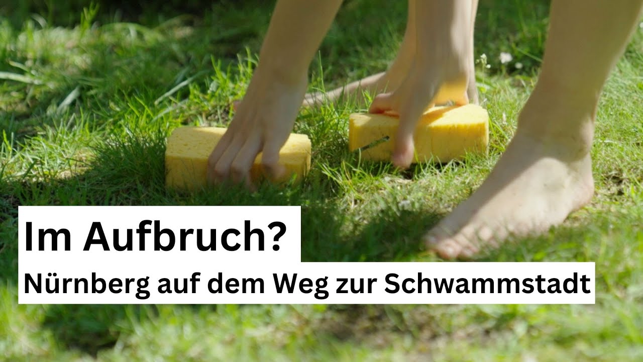 Im Aufbruch? Nürnberg auf dem Weg zur Schwammstadt
