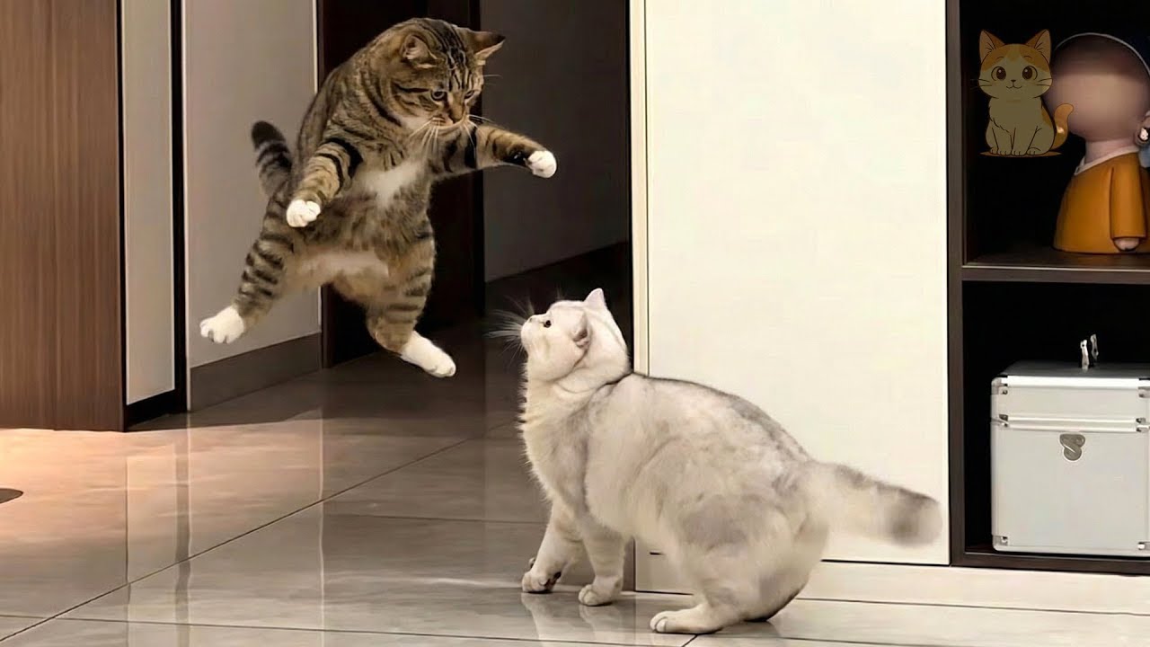 Hilarious Reactions Of Cats And Other Animals You Must Watch Today !🤣 | Try Not To Laugh !😺