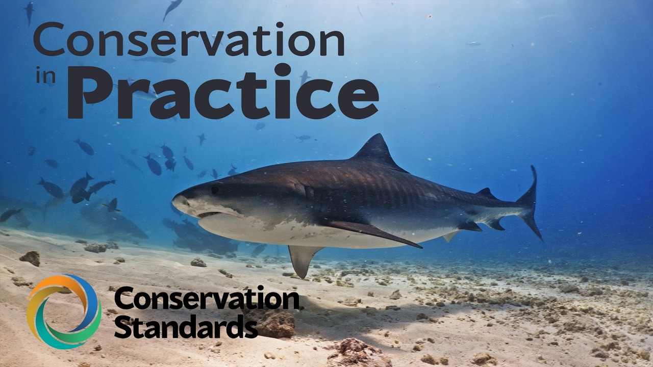 Conservation in Practice | Lacy Consulting Services