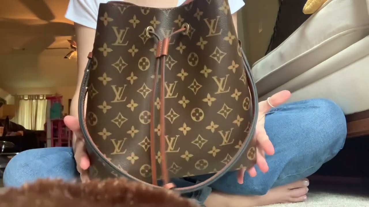 Louis Vuitton Neo Noe monogram and caramel