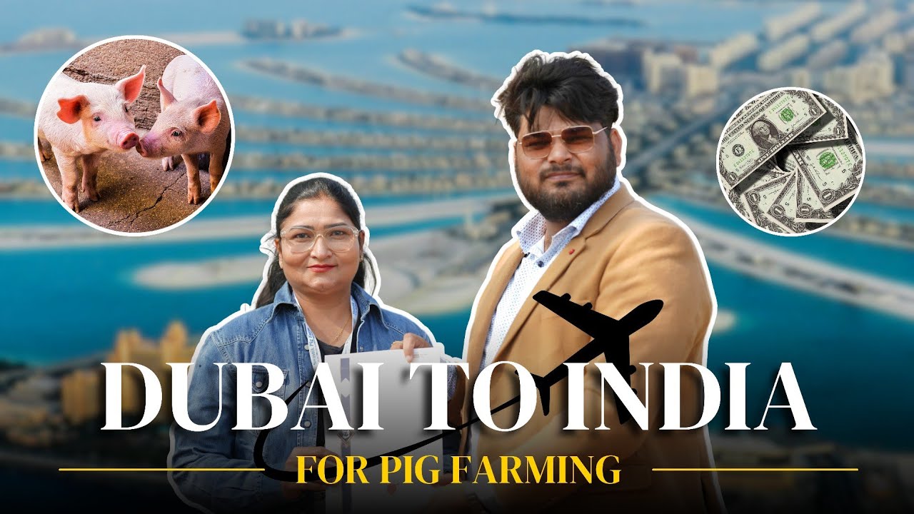 This Lady Entrepreneur from Dubai wants to start Pig Farming in India as her Primary Business.
