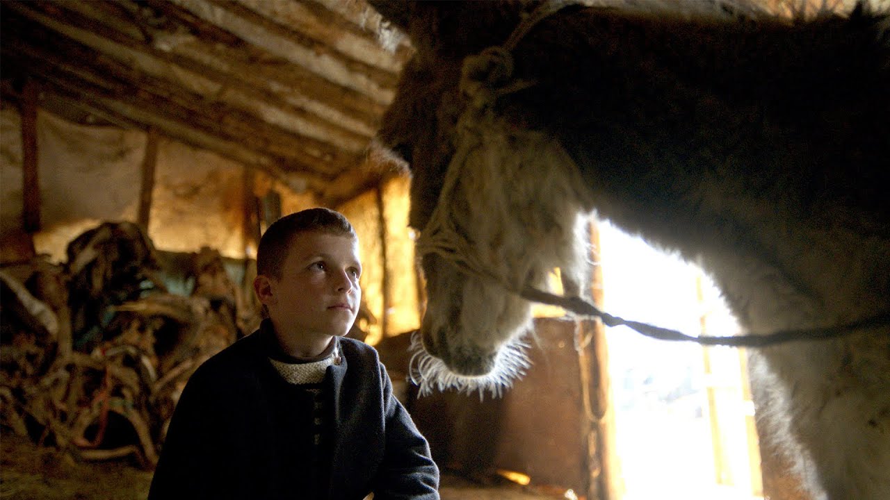 FIFDH 2026 I The Beauty of the Donkey · Trailer