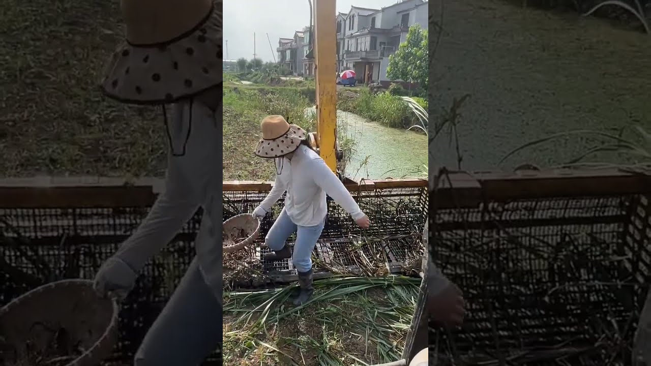 Fishing With JCB 🐠🐟 fish hunting 🐠🐟