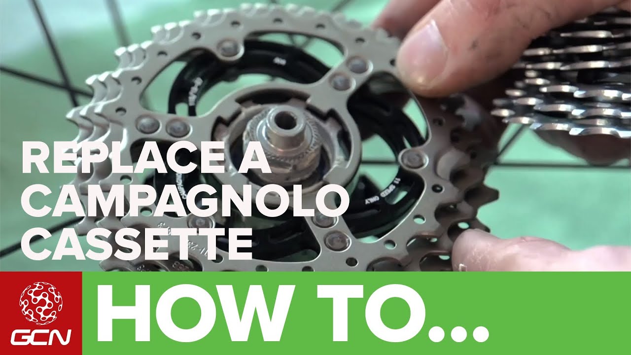 How To Replace A Campagnolo Cassette - GCN's Maintenance Mondays