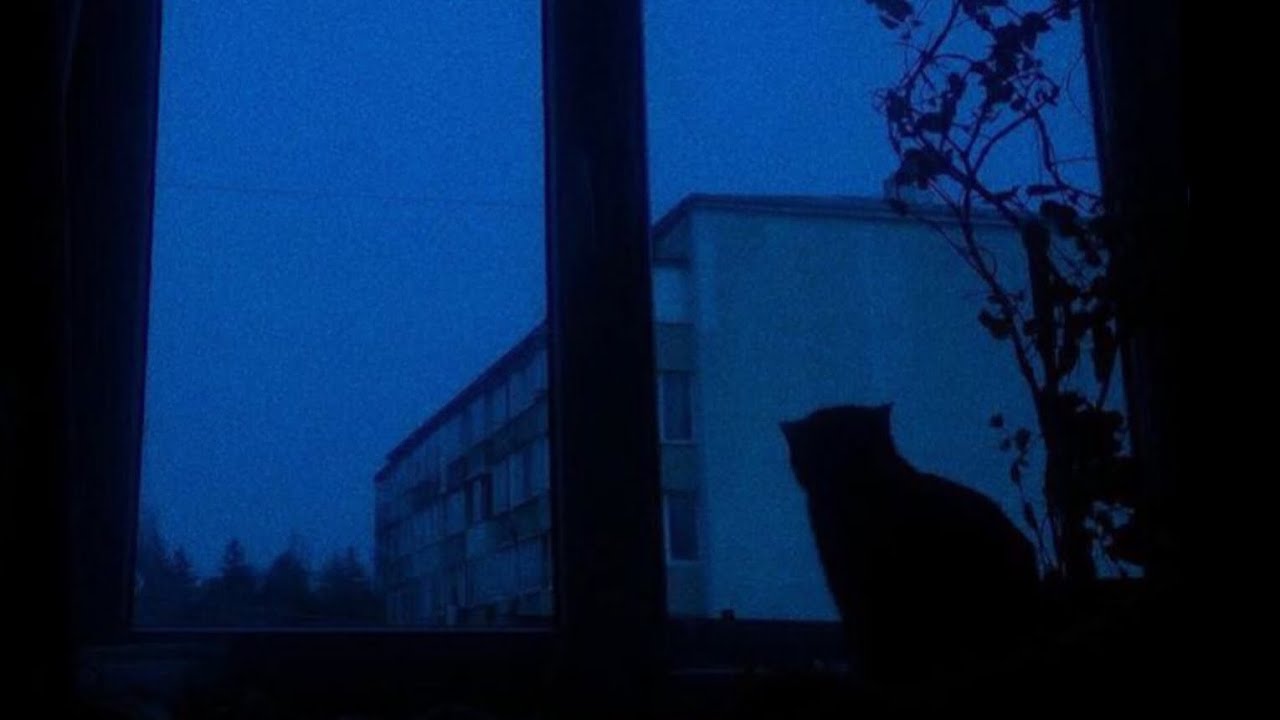 A window to memories | October | Antent