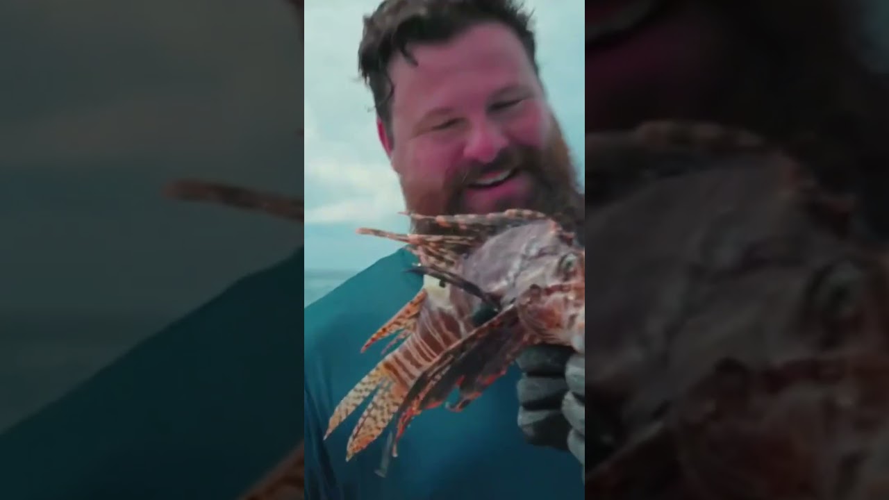 How to Neutralize Lionfish Venom | Discover Florida Channel