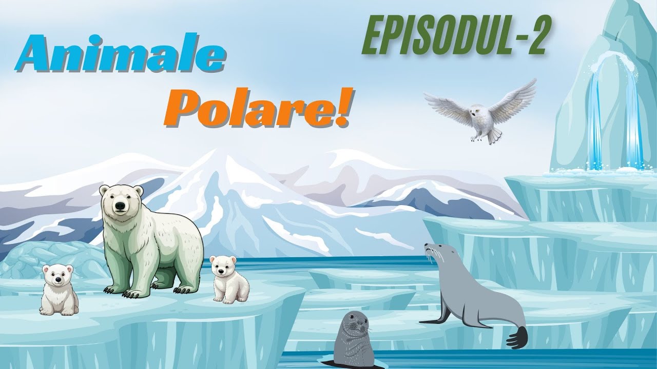 Animale Polare Episodul-2