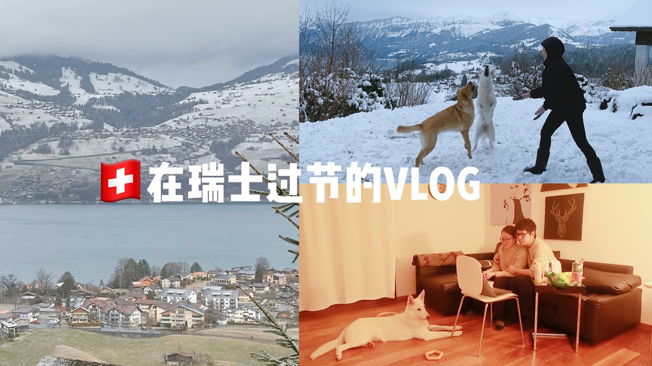 一场在🇨🇭瑞士小镇的度假 太需要这种躺平的日子啦！ 两人两狗在瑞士过节的VLOG（上）