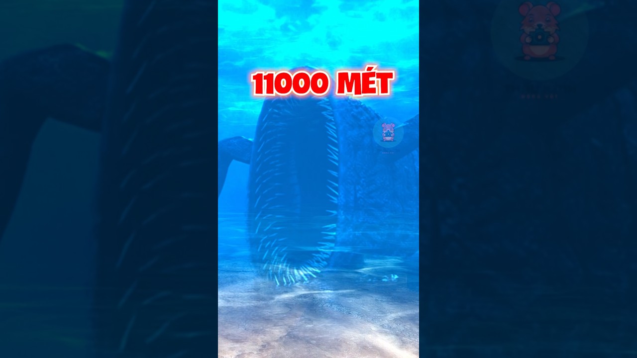 QU&Aacute;I VẬT BIỂN N&Agrave;O Ở S&Acirc;U NHẤT ??? | 😨 #fact #amazingfacts #thaukinhdongvat