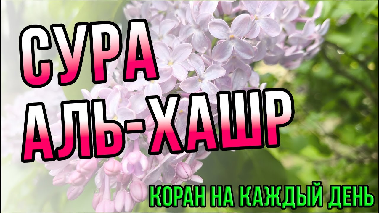 70 000 ангелов в качестве заступников - сура Аль-Хашр - СЛУШАТЬ ПЕРЕД СНОМ КАЖДЫЙ ДЕНЬ