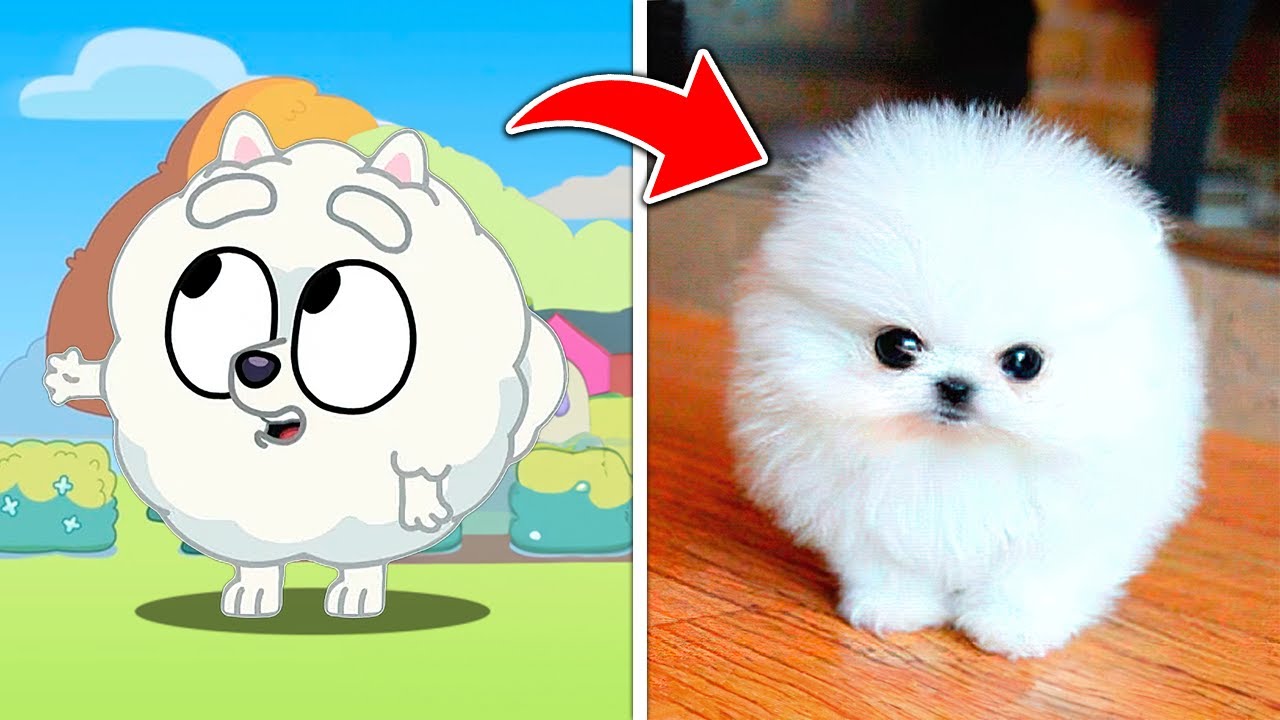 Personagens de Bluey que Existem na Vida Real