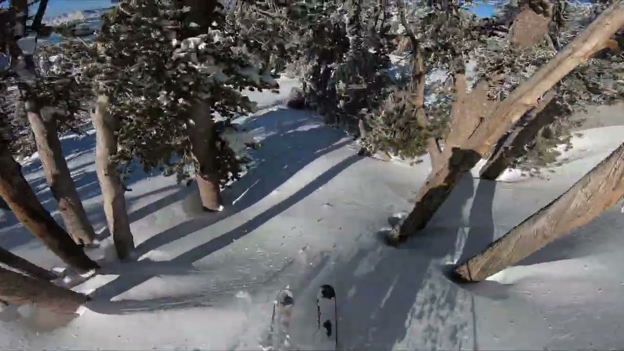 Heavenly Ski Resort, Ski Ways Glades, Dec 2025
