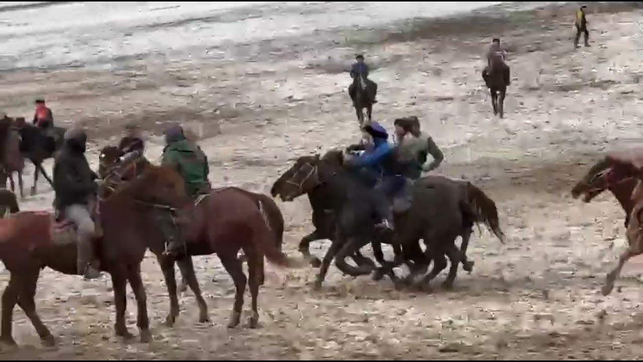 Тынчтык Балбан Кара куш менен 100$