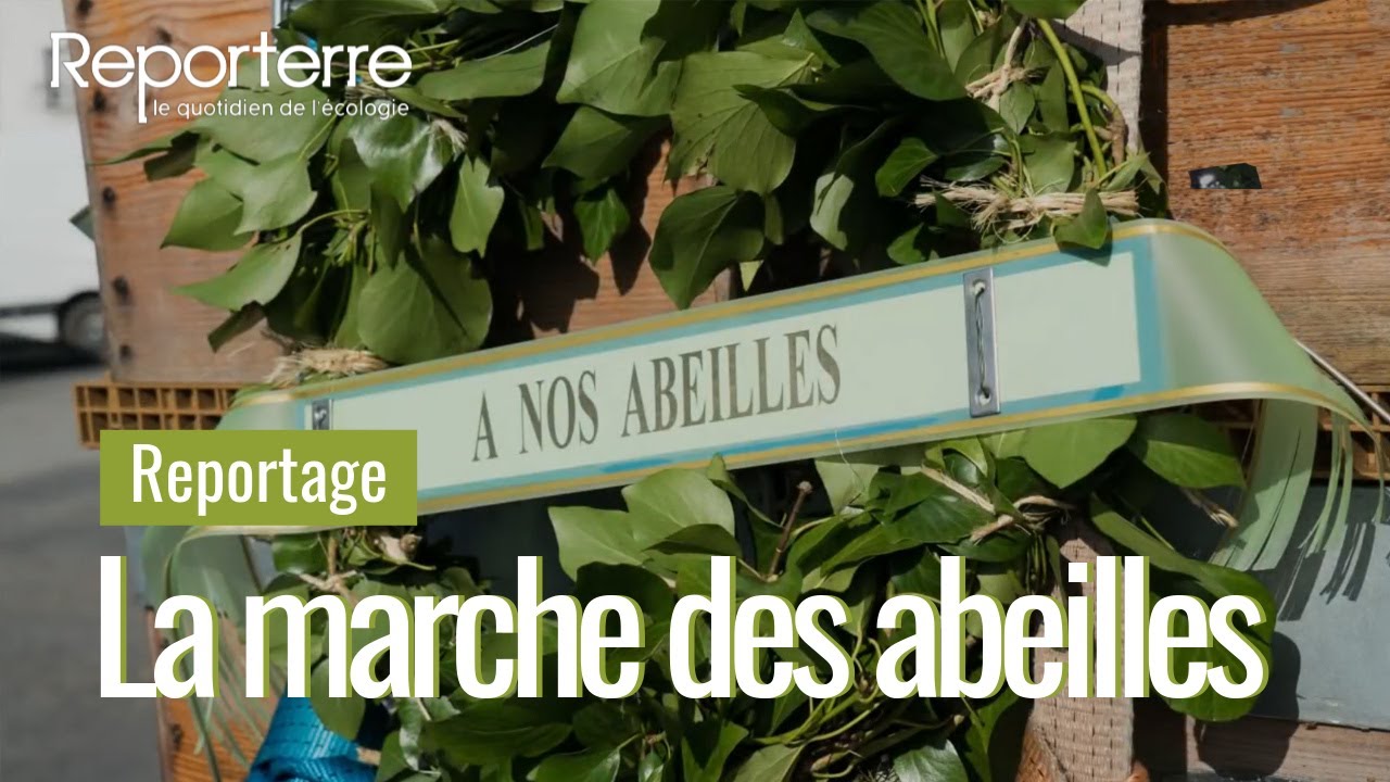La marche des abeilles