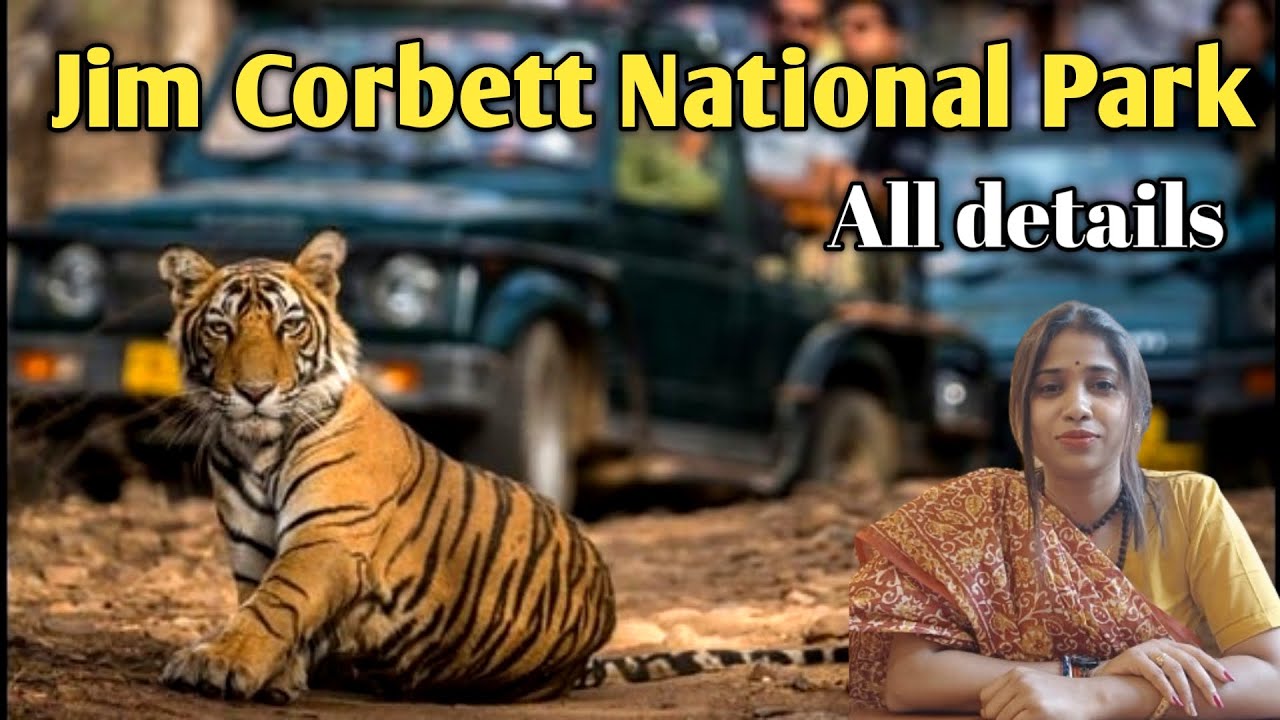 Jim Corbett National Park | Jim Corbett National Park Safari