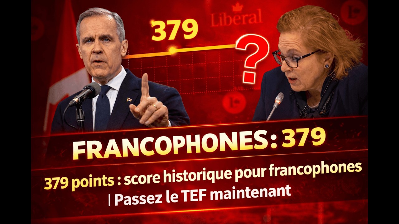 379 Points : Le score le plus bas de l'année. C’est le moment de passer votre TEF !