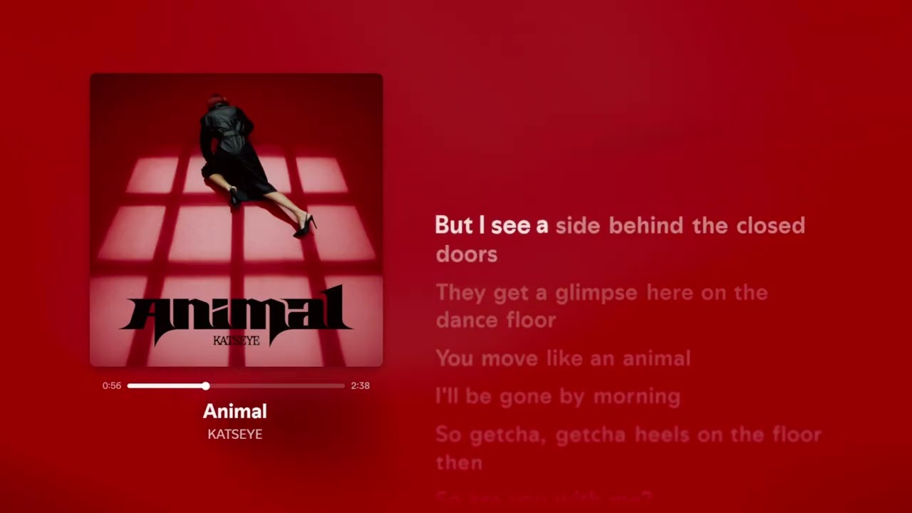 Katseye - Animal (Lyrics)