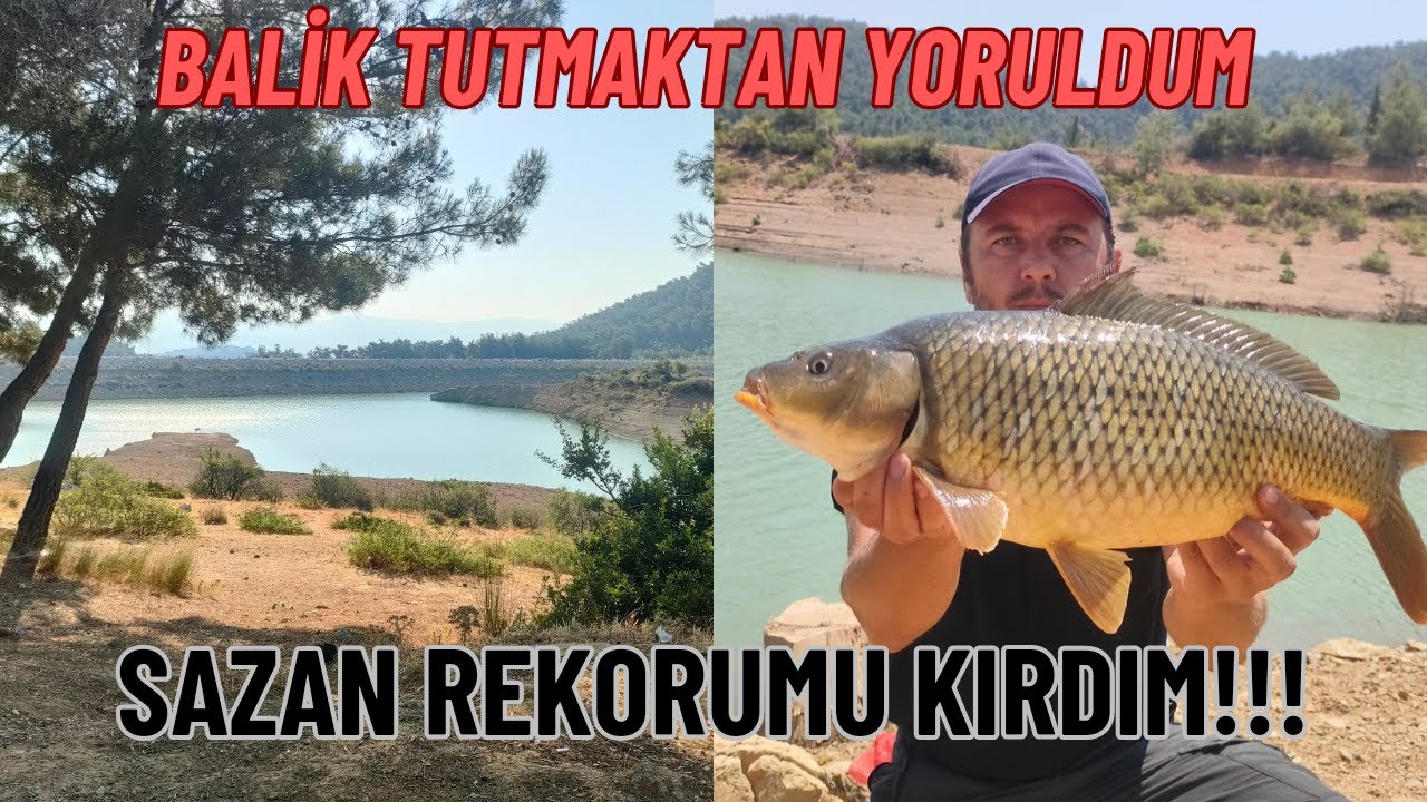 SAZAN REKORUMU KIRDIM!!!Sazan TUTMAKTAN YORULDUM#carping #fishing #sazan #carp