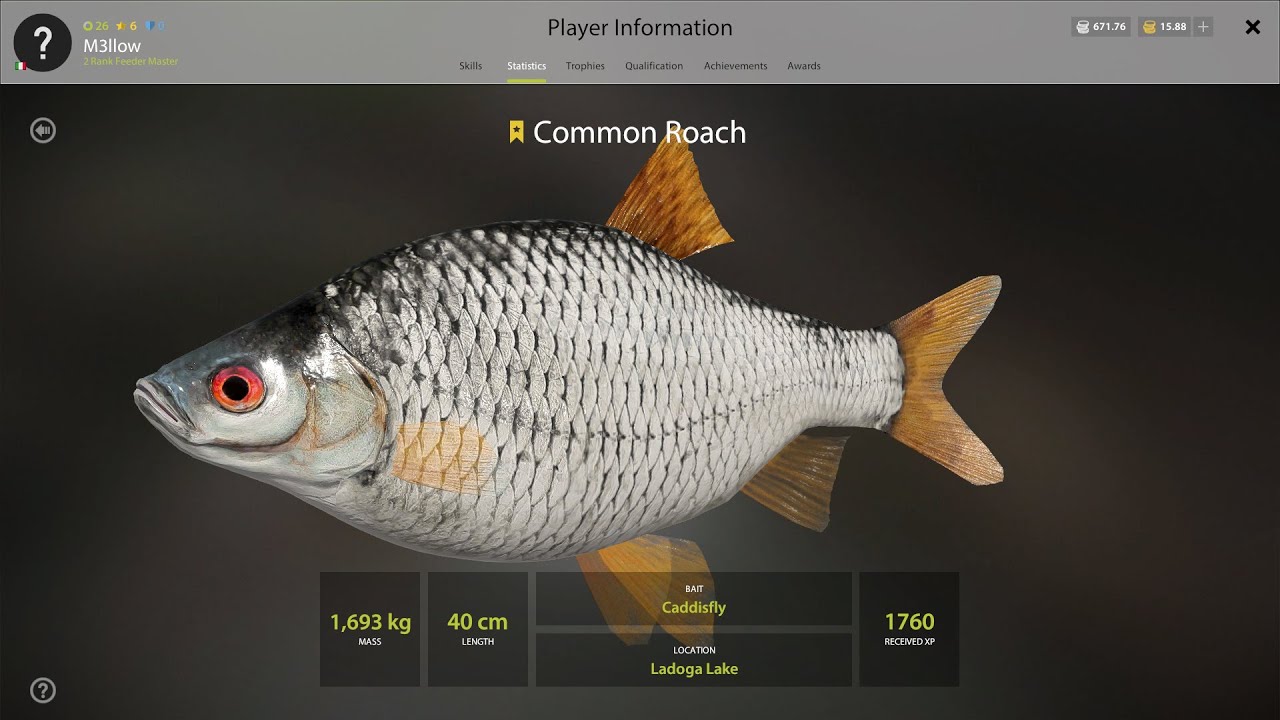 Russian Fishing 4 Common Roach