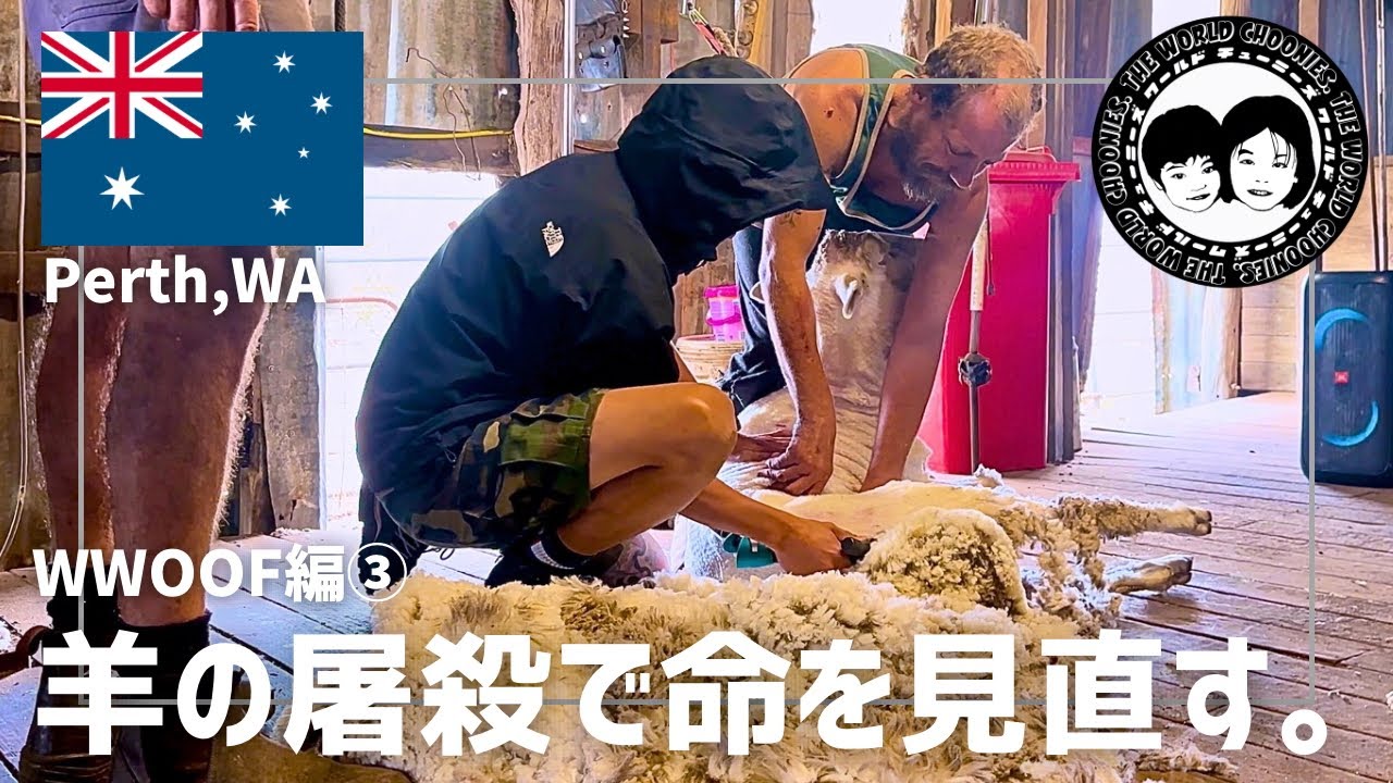 【Vlog】WWOOF編③家族四人、羊の屠殺現場で命を「いただきます」の意味を見直す。