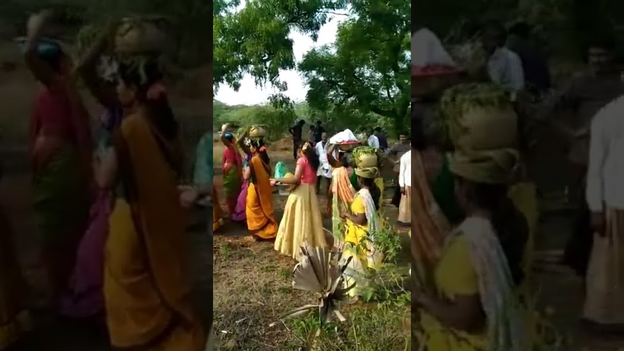 #poleramma pongallu