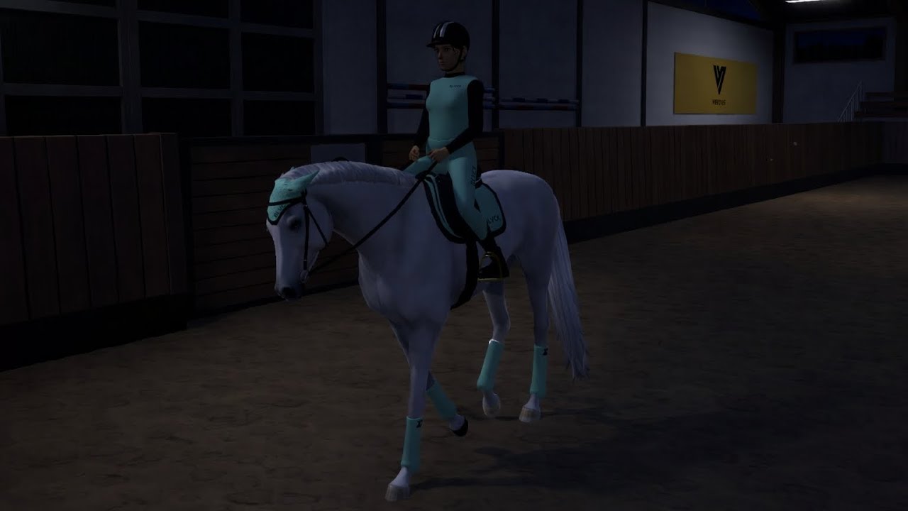 Thunder's first time wearing a saddle |Thunder's Journey|