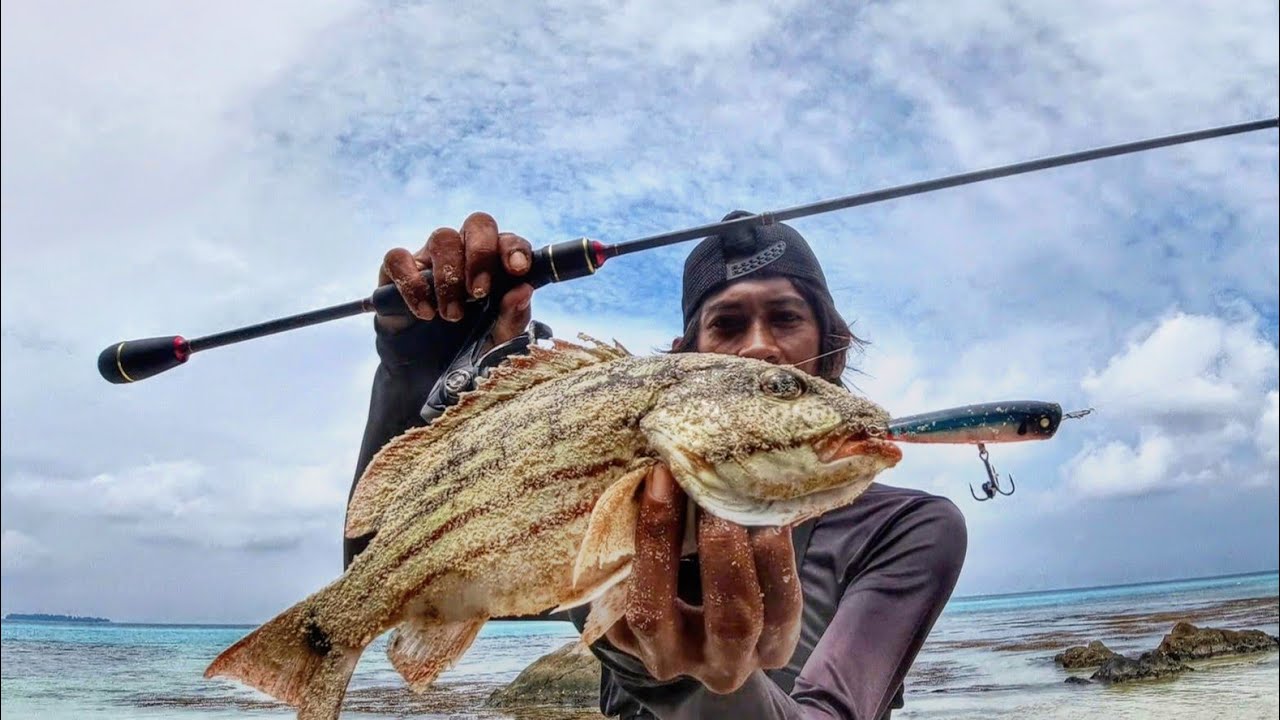 mancing di pinggiran pantai dengan minipop 7,5 gr yang lagi viral di Bali || ultralight fishing