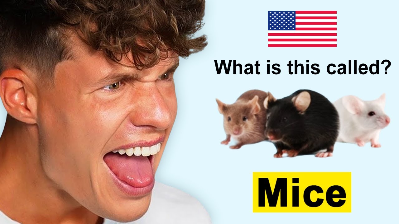 Ich mache einen 1. Klasse ENGLISCH TEST 😂🇺🇸