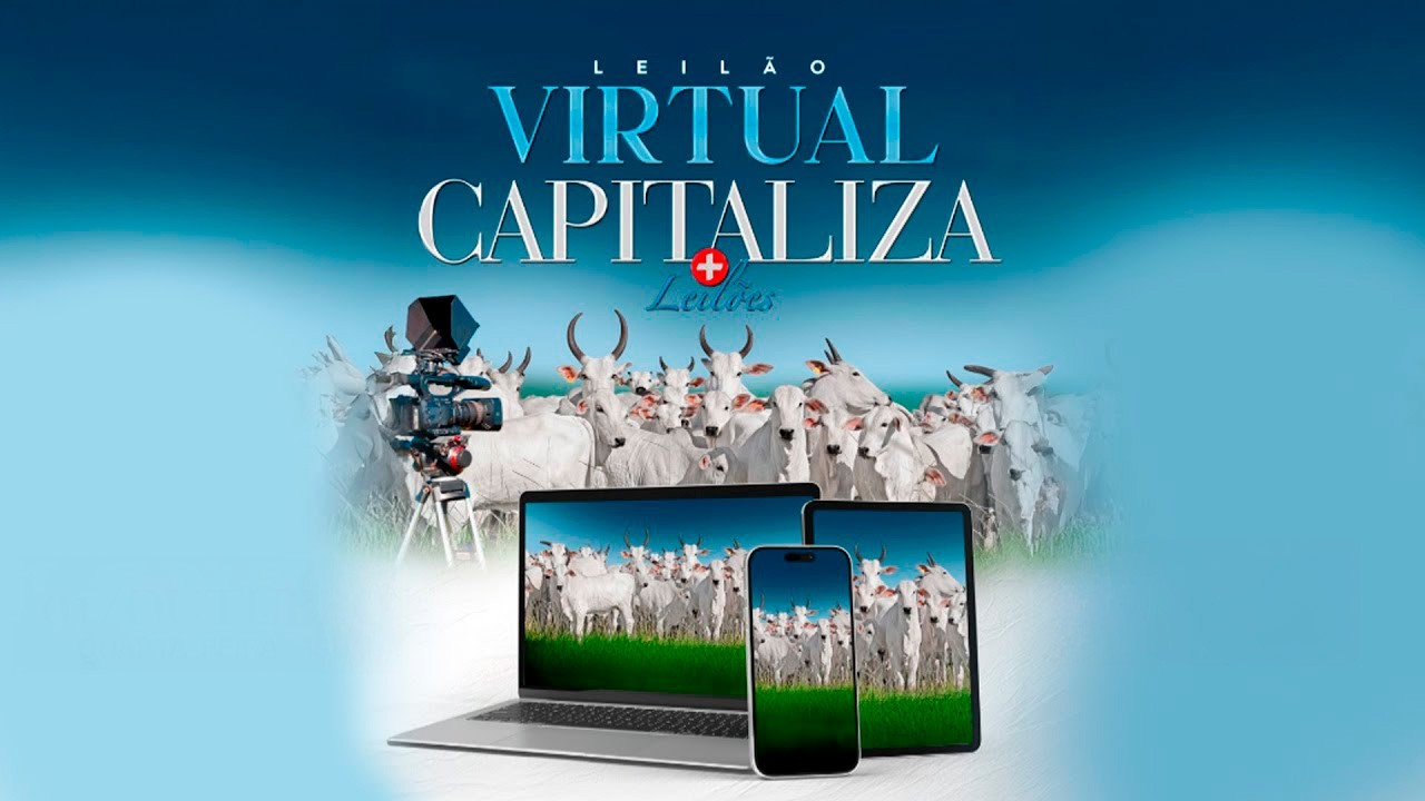 LEILÃO VIRTUAL CAPITALIZA_LEILÕES - AGRO LIVE - RIO VERDE-MS  20/02/2026