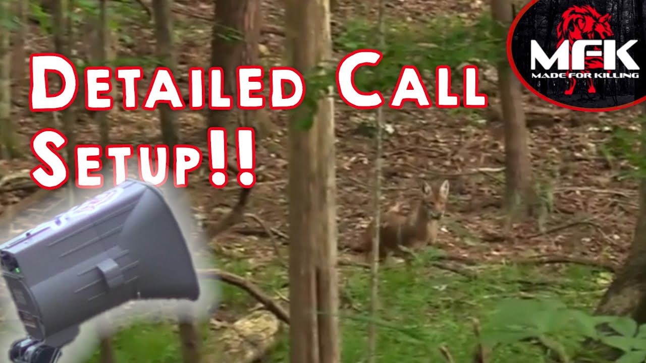 Подробная настройка. Как настроить Coyotes!! (Помните, когда)