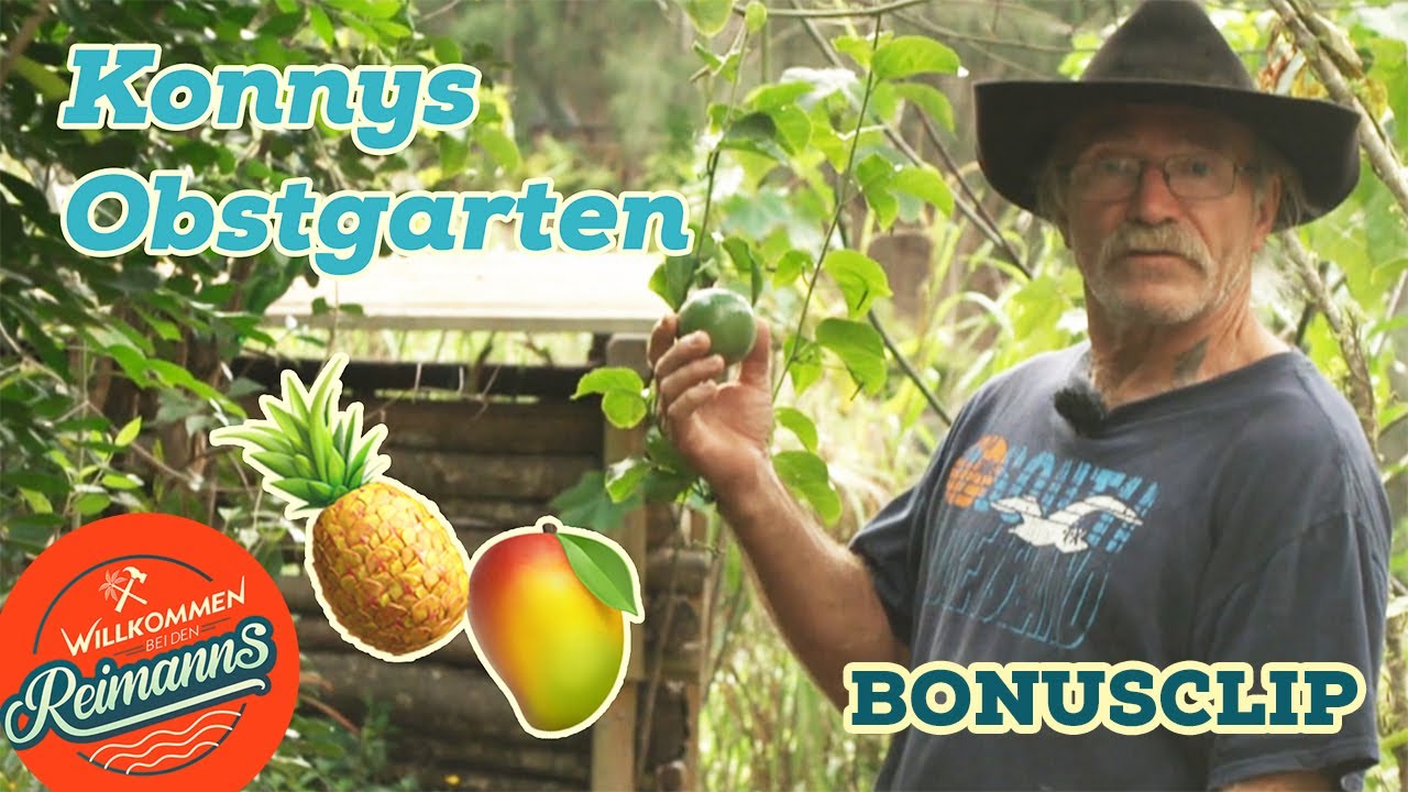 🍍 Konnys Fruchtgeschichten aus dem Garten | Willkommen bei den Reimanns | Kabel Eins