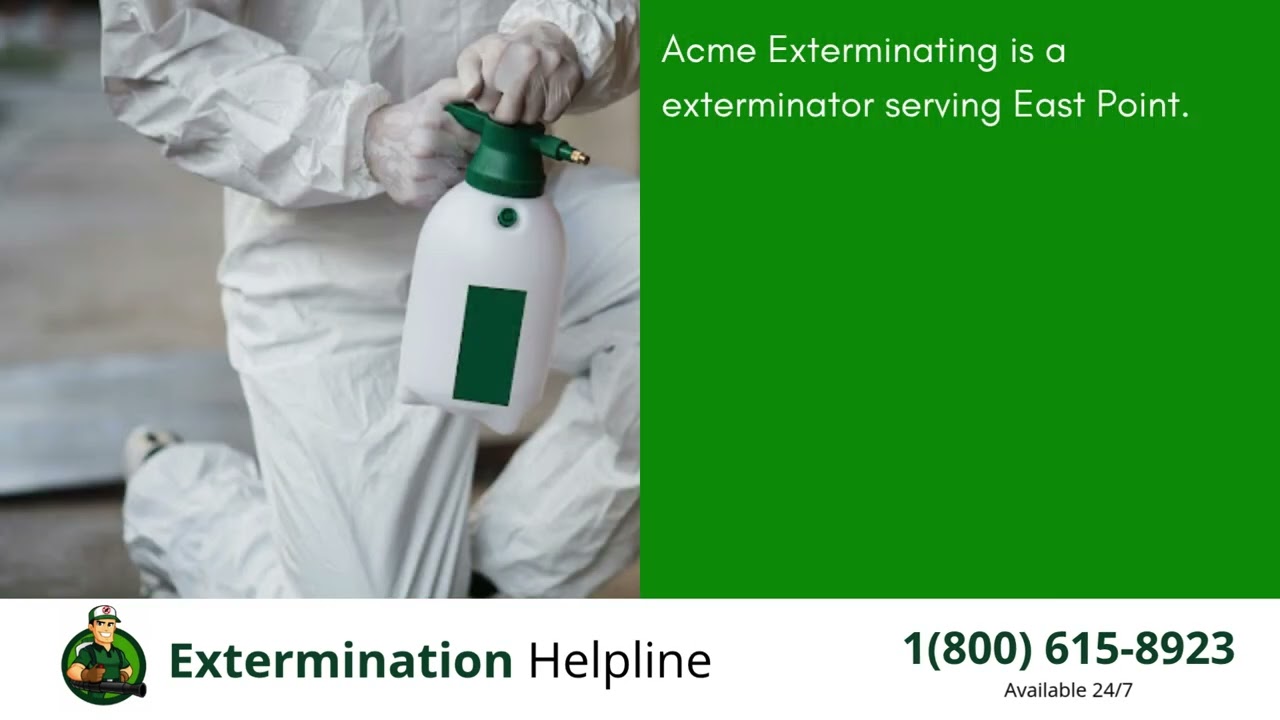 Top 3 Exterminators in East Point