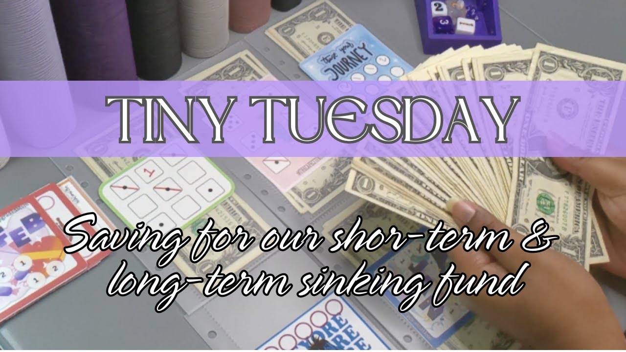✨TINY TUESDAY✨ JAN WEEK 4 #savingschallenges #minisavingschallenges #savingmoney #sinkingfunds